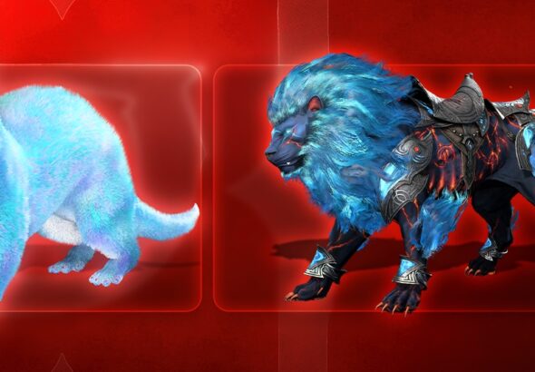 Diablo IV BlizzCon lote digital